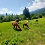 Appartement Rickies Aifersdorf