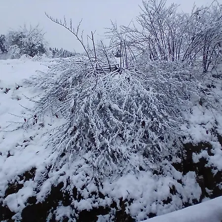 Rickies Apartament *