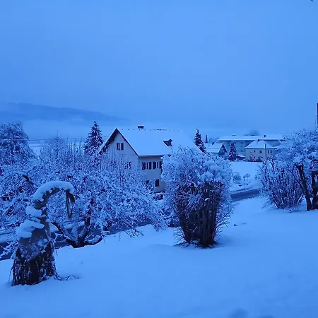 Rickies Aifersdorf