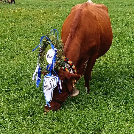 Rickies Aifersdorf