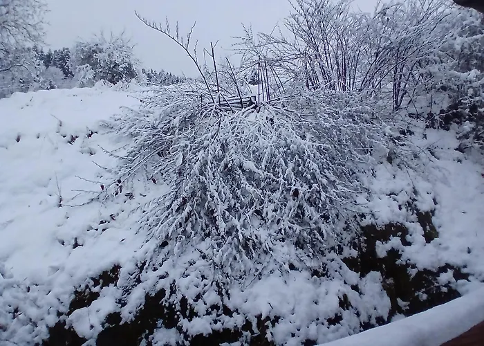 Rickies Apartament *