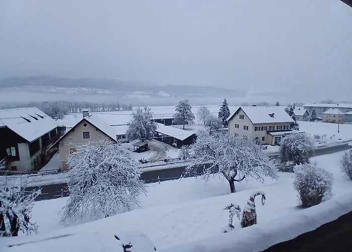 Rickies * Aifersdorf