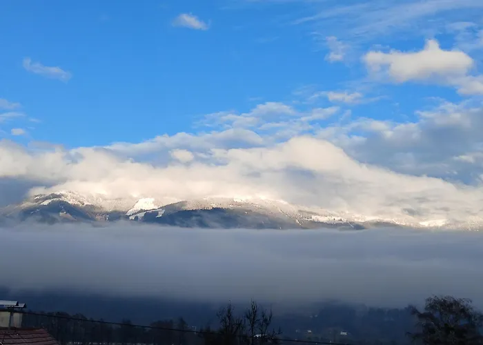 Rickies * Aifersdorf