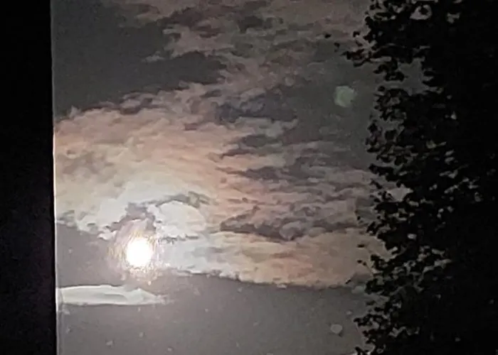 Rickies * Aifersdorf