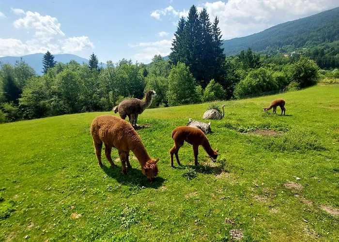 Lägenhet Rickies Aifersdorf