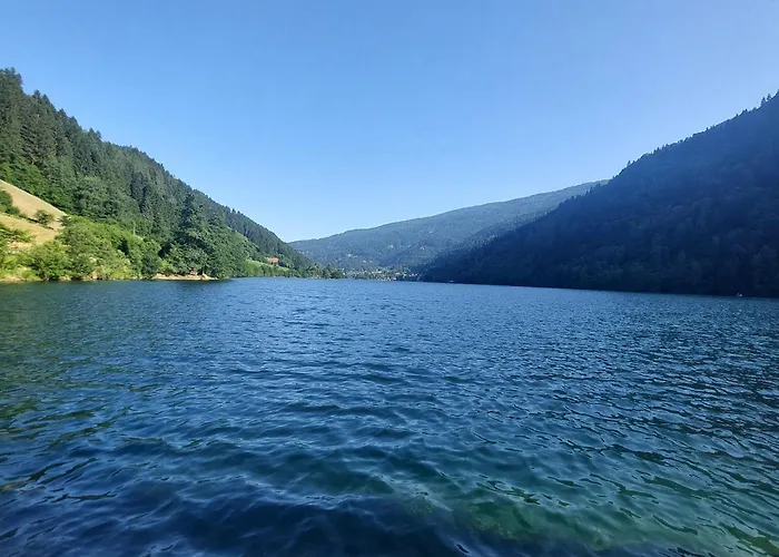 Rickies * Aifersdorf