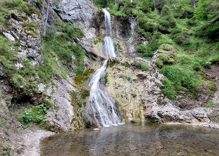 Apartament Rickies *