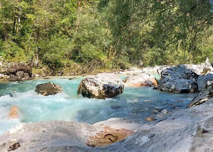 Rickies Apartament *